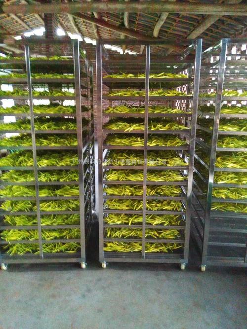 黃花菜烘干機、黃花菜烘干設備、黃花菜干燥機、黃花菜干燥設備、